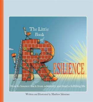 The Big Little Book of Resilience | Matthew Johnstone